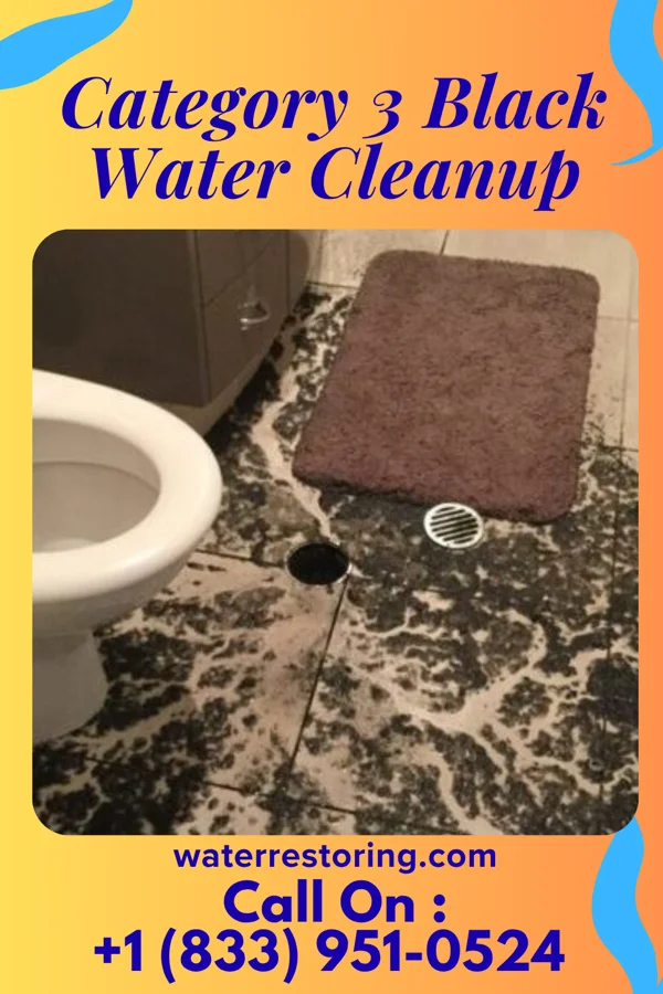 Category 3 Black Water Cleanup in Pattonsburg, MO