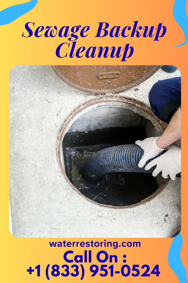 Sewage Backup Cleanup in Pattonsburg, MO