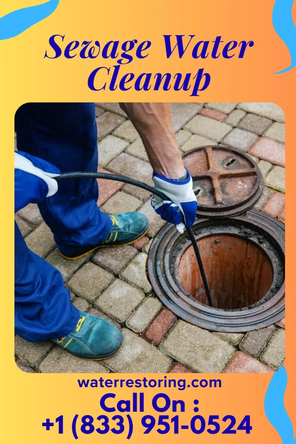 Sewage Water Cleanup in Pattonsburg, MO