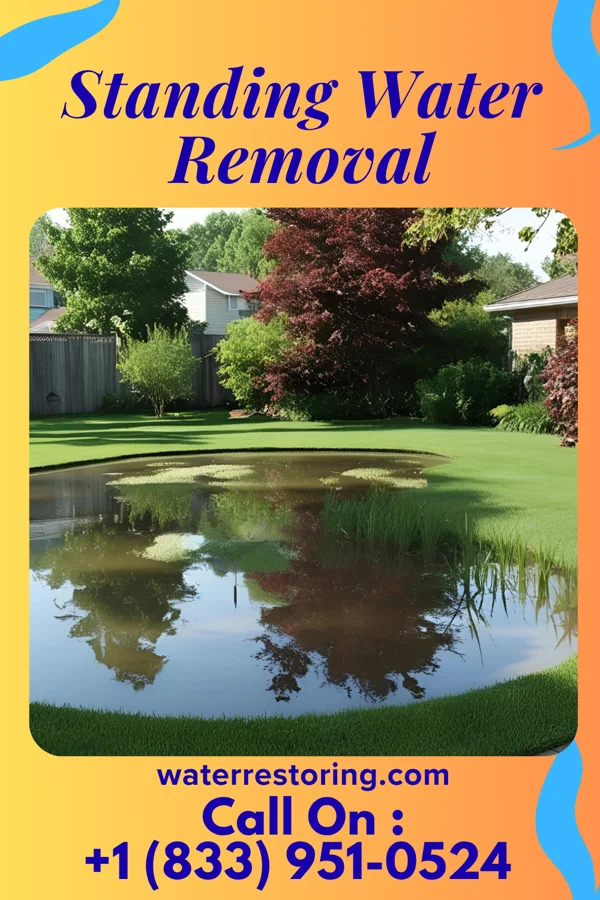 Standing Water Removal in Pattonsburg, MO